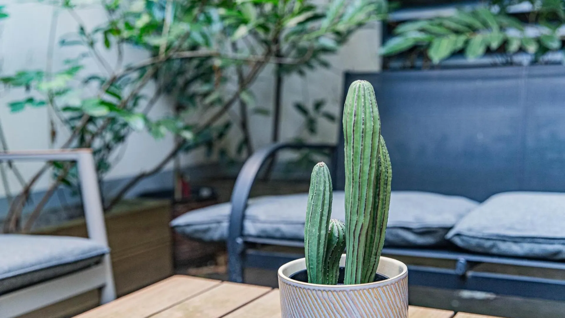 וינה Garden Apartment Near Haydnpark 0*,  אוסטריה